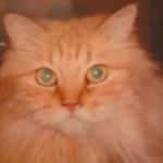 Profile Picture of Eloisa Serrano (@eloisa.serrano.52) on Instagram