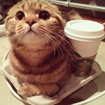 Profile Picture of Andy Ouyang (@andyxo123) on Instagram