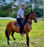 Felipe Enciso - Instagram Profile Picture of Felipe Enciso (@felipe.encisop) on Instagram