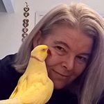 Profile Picture of Ellen Pritchett (@ellen.pritchett) on Instagram