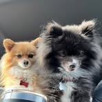 Profile Picture of Brian Fenner (@brian.fenner.9659) on Facebook