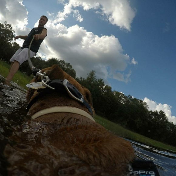 Profile Picture of Ian Mueller (@chagamalaga) on Poshmark