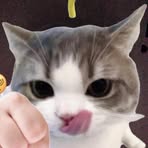 Profile Picture of Daly Pop (@Daly-Pop) on Facebook