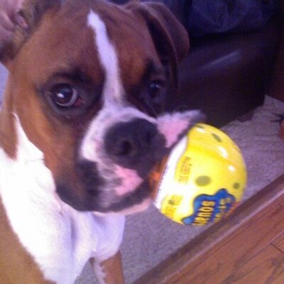 Profile Picture of Kim Bedell McCurley (@kbm68) on Twitter