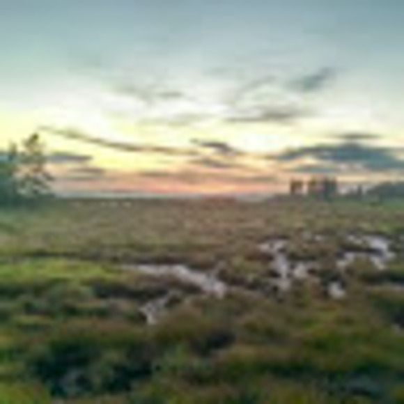 Profile Picture of Sean Sapp (@sapp1733) on Poshmark