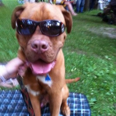 Profile Picture of Doug McKenney (@DOUGMUAW) on Twitter