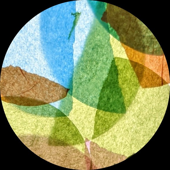 Profile Picture of Jo Vadeboncoeur (@vadebon) on Poshmark