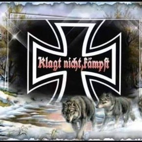 Profile Picture of David Feil (@feil_david) on Twitter