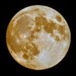 Profile Picture of kyle schram (@kyle_schram) on Instagram