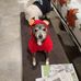 Profile Picture of Brian Canning (@brian.canning.7169) on Facebook