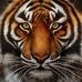 Profile Picture of Wade Stanton (@Wade-Stanton) on Facebook