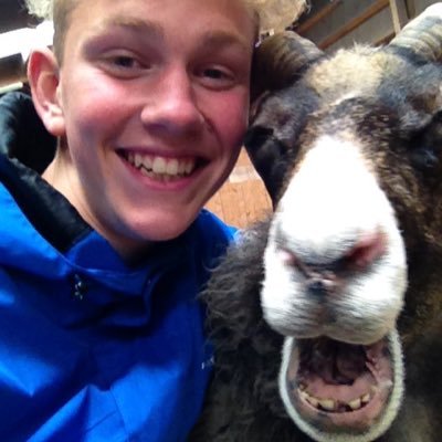 Profile Picture of Jakob Rylander (@jakob_rylander) on Twitter