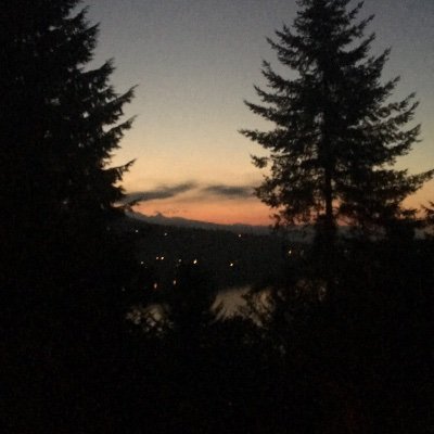 Profile Picture of Bri Davidson (@BrianneDavids17) on Twitter