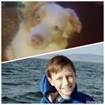 Profile Picture of Matthew Pollard (@lerd2005) on Instagram