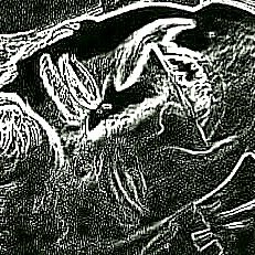 Profile Picture of Sam Main (@theSamMain) on Twitter