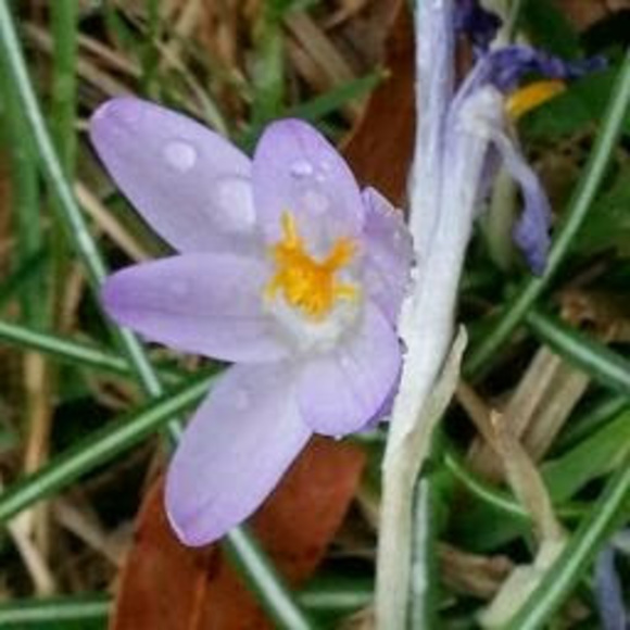 Profile Picture of Rylee Coolahan (@ry_coolahan) on Poshmark