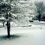 Profile Picture of Andy Steinbacher (@andrewsteinbacher) on Instagram