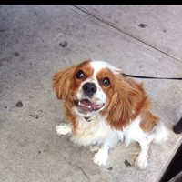 Ndiera Viechweg - Quora Profile Picture of Ndiera Viechweg (@ndiera-viechweg) on Quora