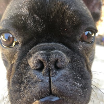 Profile Picture of Chris Linck (@@TheChrisLinck) on Twitter
