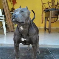 Profile Picture of Mikel Atkinson (@mikel-atkinson) on Quora