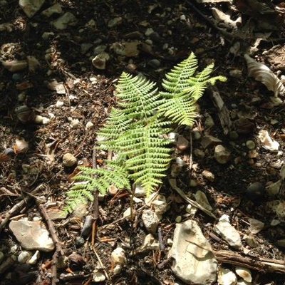 Profile Picture of Ed Shrager (@edshrager) on Twitter