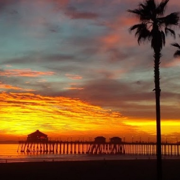 Profile Picture of Ann Kawamura (@akawamura) on Poshmark