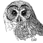 Profile Picture of Elva Paulson (@elvapaulson) on Flickr