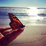 Profile Picture of Laura Dunlap (@laura_dunlap) on Instagram