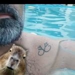 Profile Picture of claudio navarro (@claudiografica) on Instagram