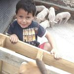 Profile Picture of Juan Gerardo Olayo (@olayo.juan) on Instagram