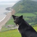 Profile Picture of Carly Sylvester (@carly.sylvester1) on Instagram