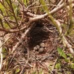 Jamou Labridi - Facebook Profile Picture of Jamou Labridi (@Jamou-Labridi) on Facebook