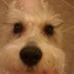 Profile Picture of Kenneth Willette (@kenneth.willette) on Facebook