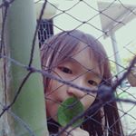 Profile Picture of Đoàn Thị Kim Phung (@phung.doanthikim) on Instagram