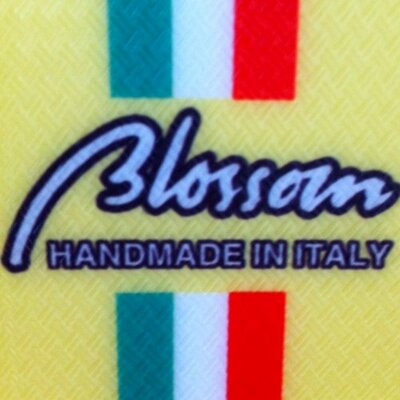 Profile Picture of Brian Finch (@Blossomskis) on Twitter
