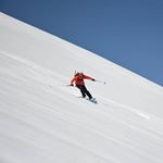 Profile Picture of Philip Simmonds (@simmonds_philip) on Instagram
