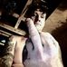 Profile Picture of Richard Trimmer (@richard.trimmer.56027) on Facebook