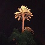 Profile Picture of Адам Барахоев (@adam_brkhv) on Instagram