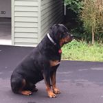 Profile Picture of Trevor Macpherson (@kiwimac007) on Instagram