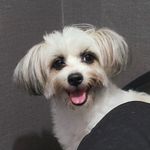 Mark Rian - Instagram Profile Picture of Mark Rian (@markrianrose) on Instagram