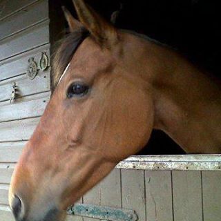 Profile Picture of Cassandra Chorlton (@pat.chorlton) on Facebook