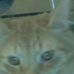 Profile Picture of Rufus Hohalek (@rufus.hohalek) on Facebook