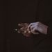 Profile Picture of Margaret N. Engle  (@margaretnengle) on Pinterest