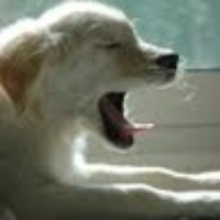 Profile Picture of Chao Cheng (@chao-cheng-4) on Quora