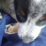 Profile Picture of Nathan (@nathankimball_lee) on Instagram