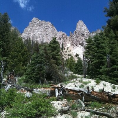 Profile Picture of Chris Rifer (@ChrisRifer) on Twitter