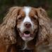 Profile Picture of William McNae (@william.mcnae.35) on Facebook