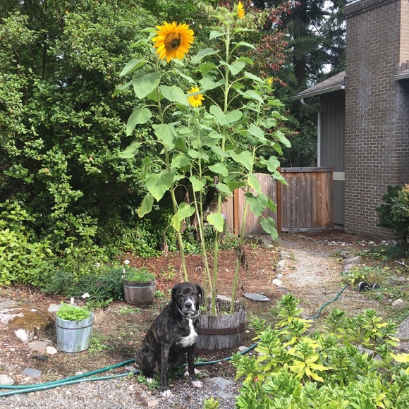 Profile Picture of Jjenny Stitt (@jennys14) on Poshmark