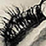 Profile Picture of Ana Paula  Bonilla (@Personal Makeup) on Flickr