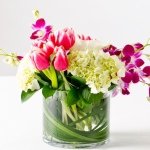 Profile Picture of Sasha Joubert (@sashajoubert) on Instagram